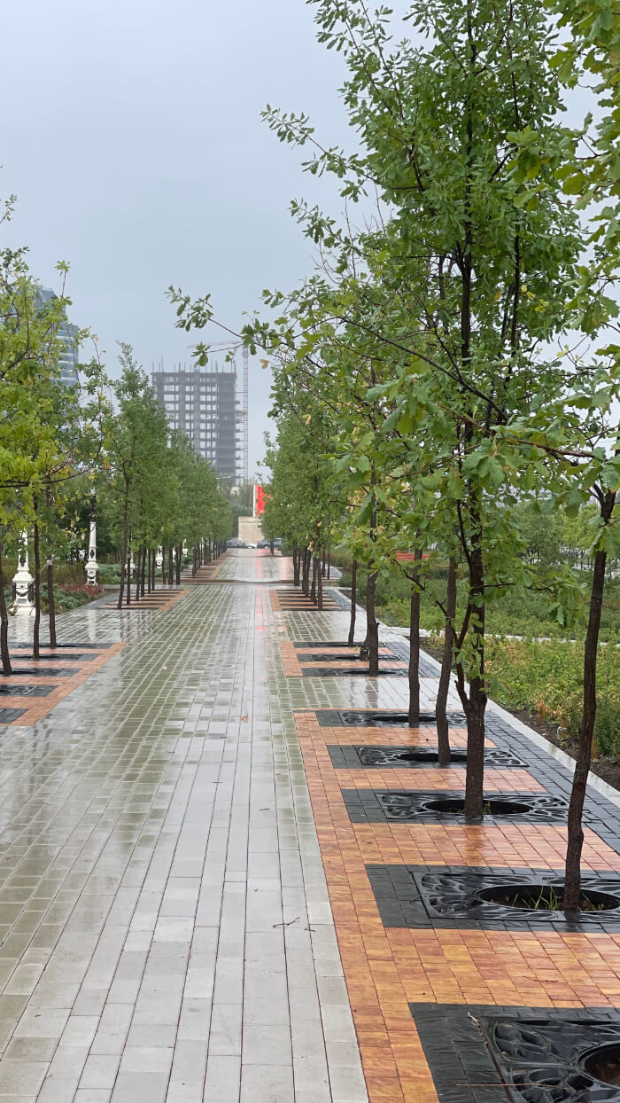 Приствольная решетка для дерева ZKING CRUST 1.2х1.2м Черная в Сибае фото