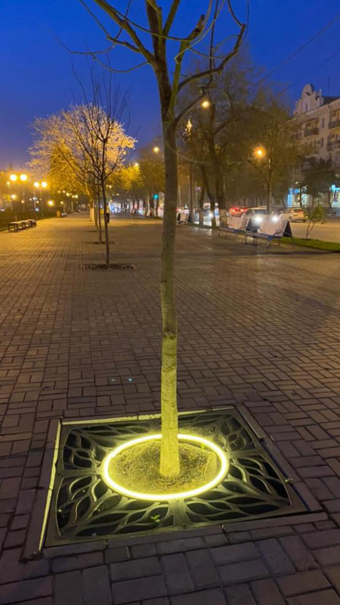 Приствольная решетка для дерева ZKING CRUST 1.2х1.2м Черная в Сибае фото